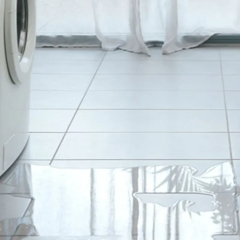 Appliance Leak Cleanup in Mount Pleasant, MI