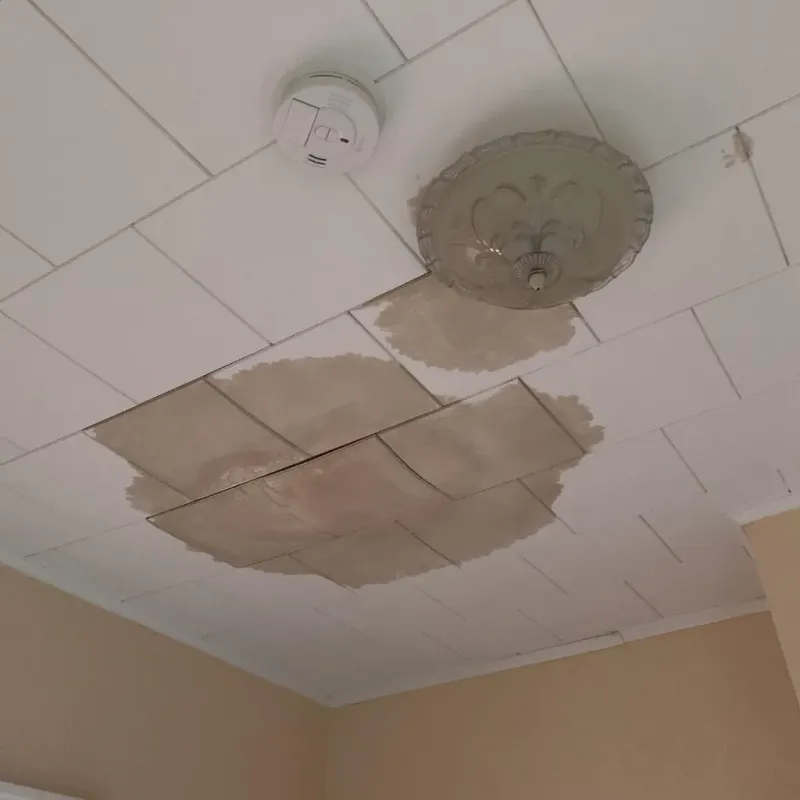 Ceiling Water Damage Repair in Mount Pleasant, MI