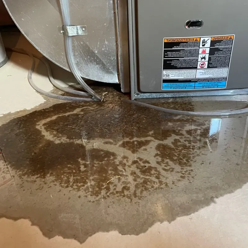 Pipe Burst and Leak Restoration in Mount Pleasant, MI