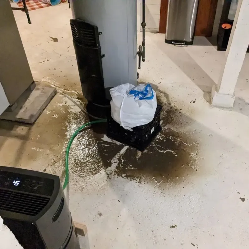 Sewage Backup Cleanup Service in Mount Pleasant, MI